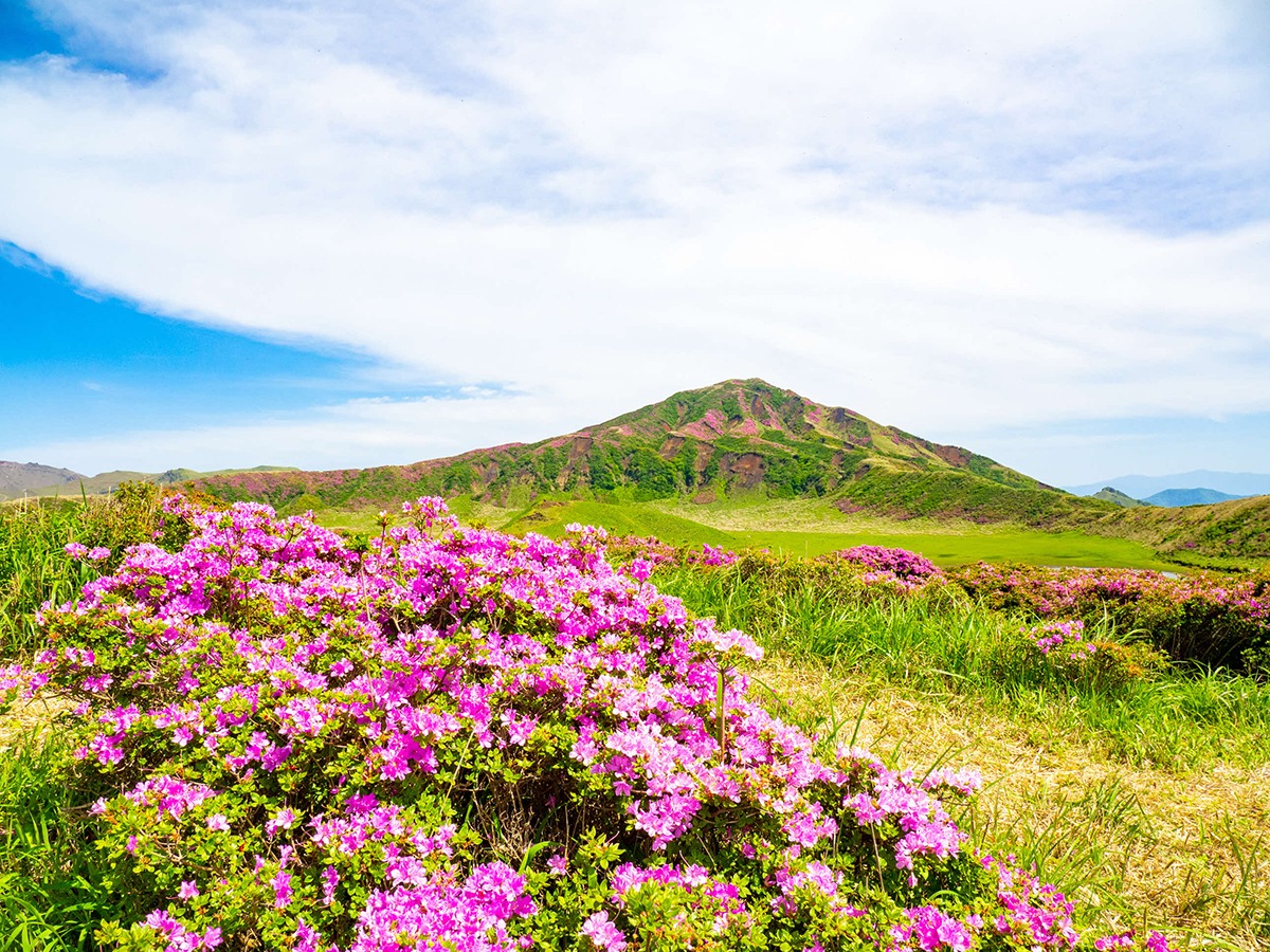 仙酔峡・阿蘇山上の画像