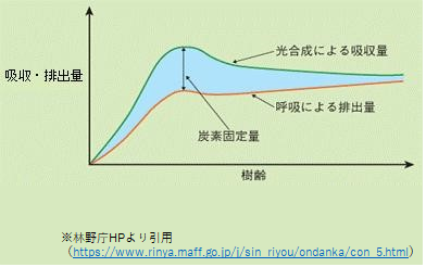吸収・排出量と樹齢の関連性を表すグラフ