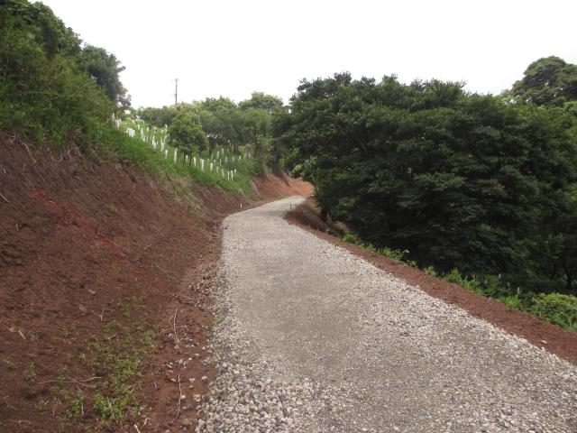 森林作業道を近くから見た写真