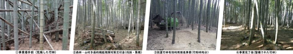 放置竹林対策の手順を示す写真
