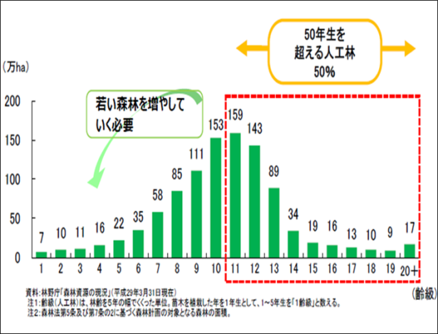 人工林の齢級別面積を表す棒グラフ