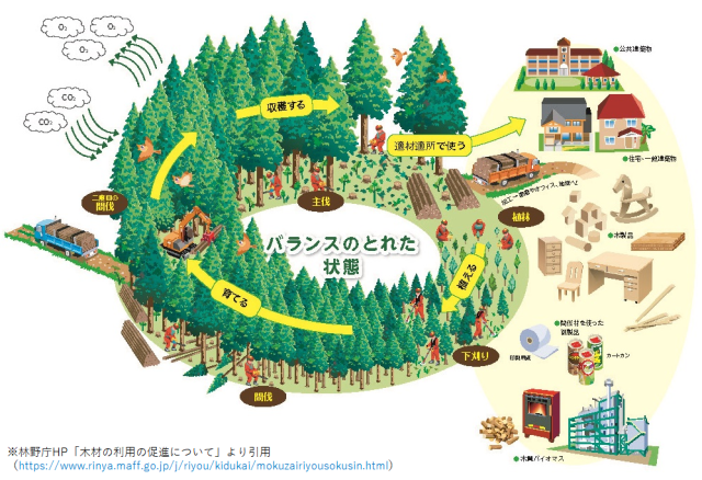 森林経営サイクルの図