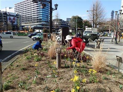 町中に緑を植えている写真