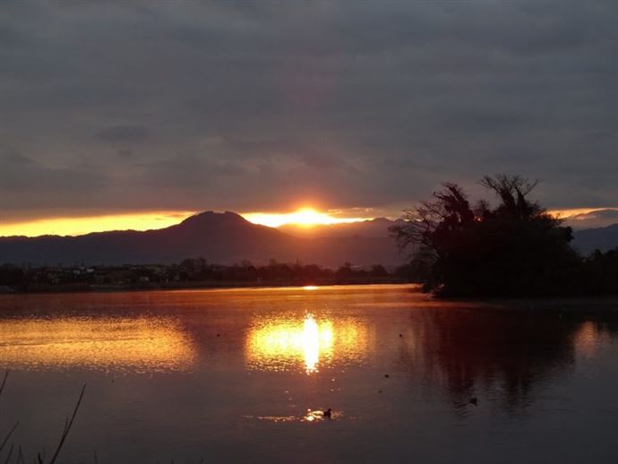 池に映る夕日の写真